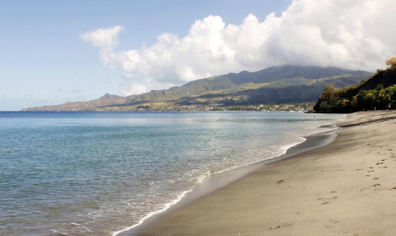 Imagine972 Martinique Bateau Hotel A Quai Le Marin 3 Cabines 3 Salles De Bains 6 Pers Maxi Εξωτερικό φωτογραφία